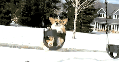 friday_gif_selection_15.gif