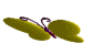 0049.gif