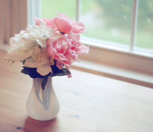 beautiful-flowers-photography-pink-roses-Favim.com-111979.jpg