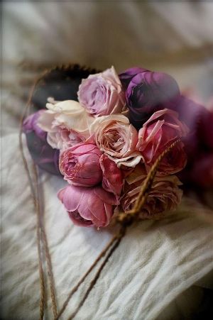 image129069.html