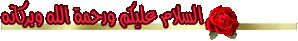 w6w20050419195349f1dd803c.gif
