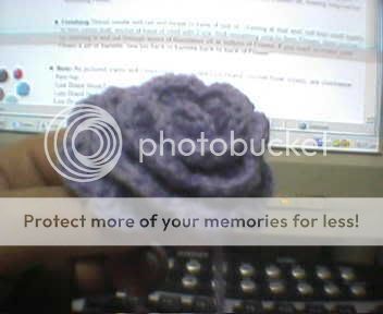 wcB23529.jpg