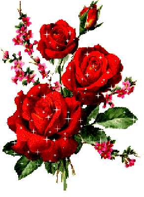 13824608041.gif