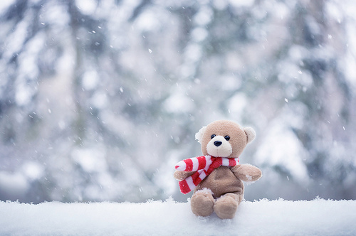 bokeh-cachecol-cold-cute-inverno-invierno-Favim.com-97527.jpg