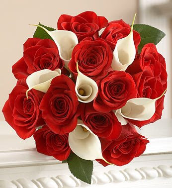 صحبة%2Bورد.bmp