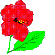 fleurs.gif