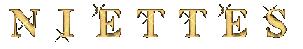 niettes2.gif