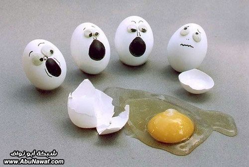 egg2.jpg