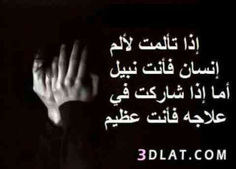 48008c4c6bfb554a74aa26c2fbbffbf9ae8f1976-1379578964