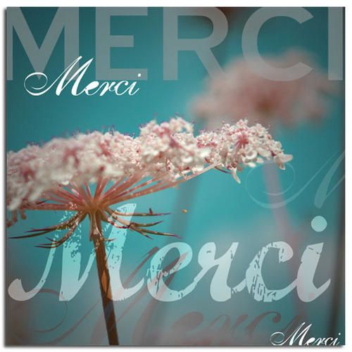 merci-1.jpg