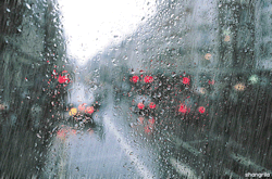 tumblr_lsme1vQ3Yp1qhd198o3_250.gif
