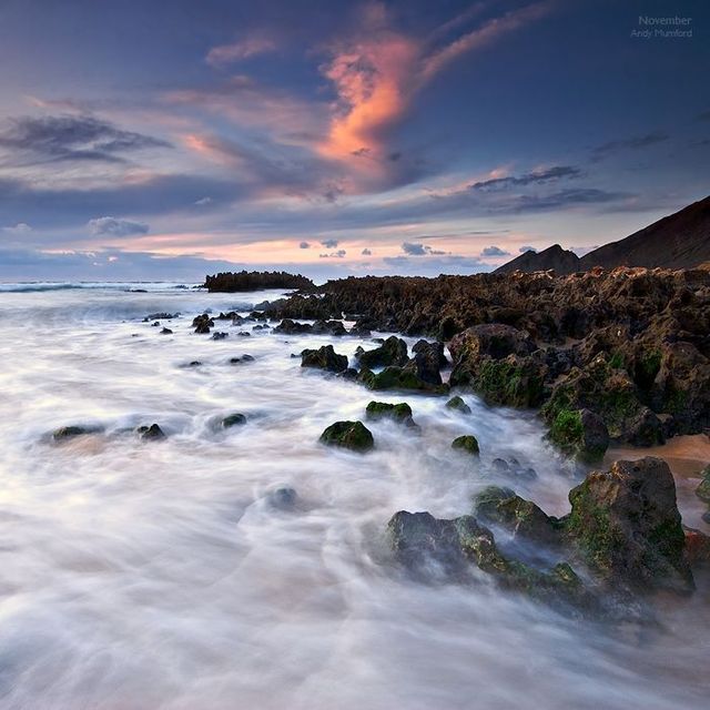 nature_02.jpg