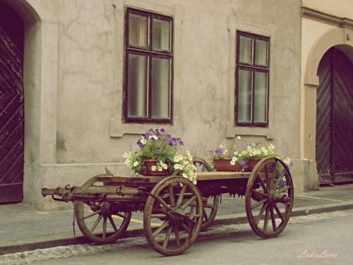 tumblr_lr8bsdacA61qf9d2go1_500.jpg
