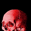skull001.gif