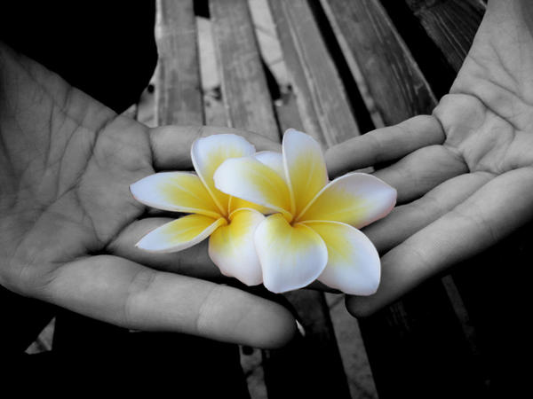 Flowers_by_PrinceHyde.jpg