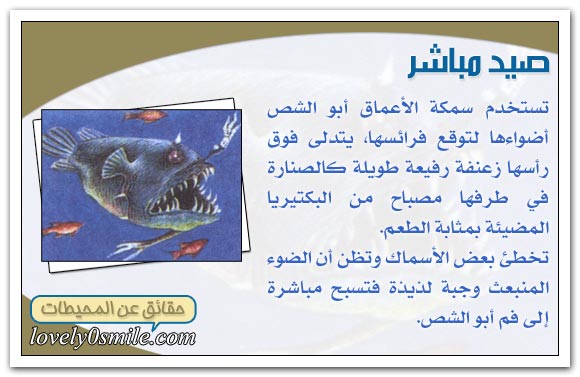 oc-09-03.jpg