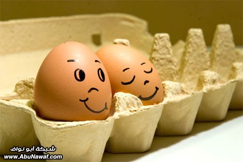 egg8.jpg