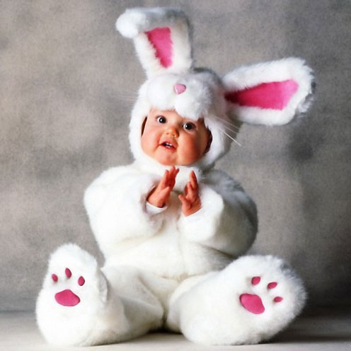 rabbit.jpg