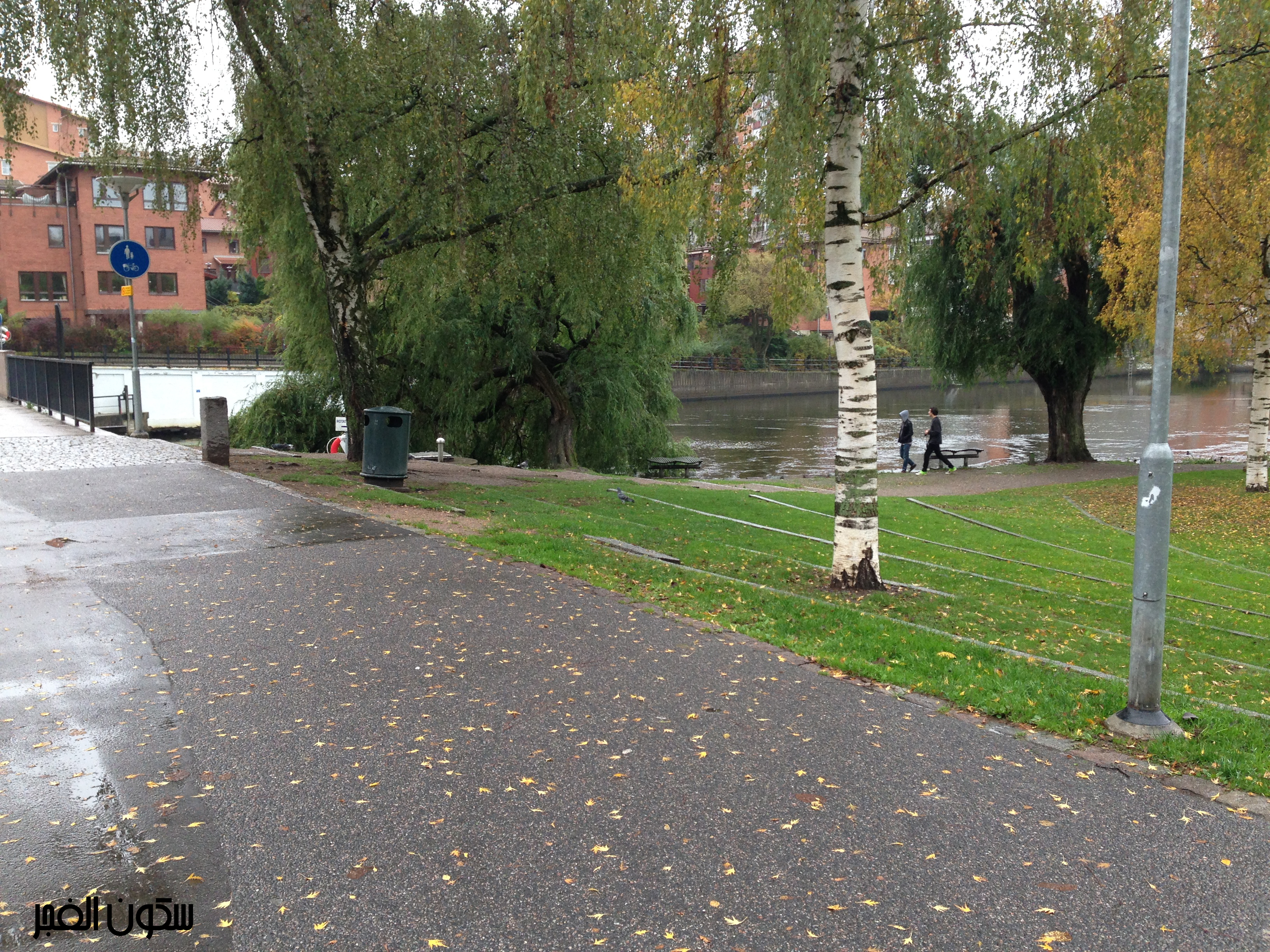 i_48458f035110.jpg
