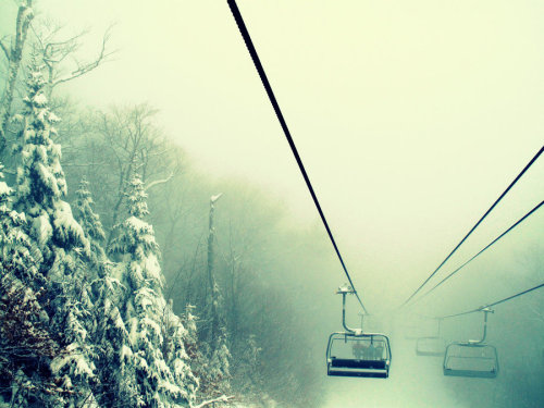 tumblr_lvrwizl2J31qf9d2go1_500.jpg