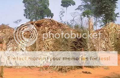 Weird-House11.jpg