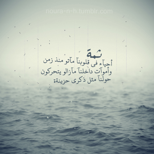 tumblr_m2yyzzJz6v1r1xq46o1_500.gif