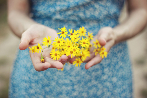 tumblr_m6ib5ySrXC1r764kao1_500.jpg