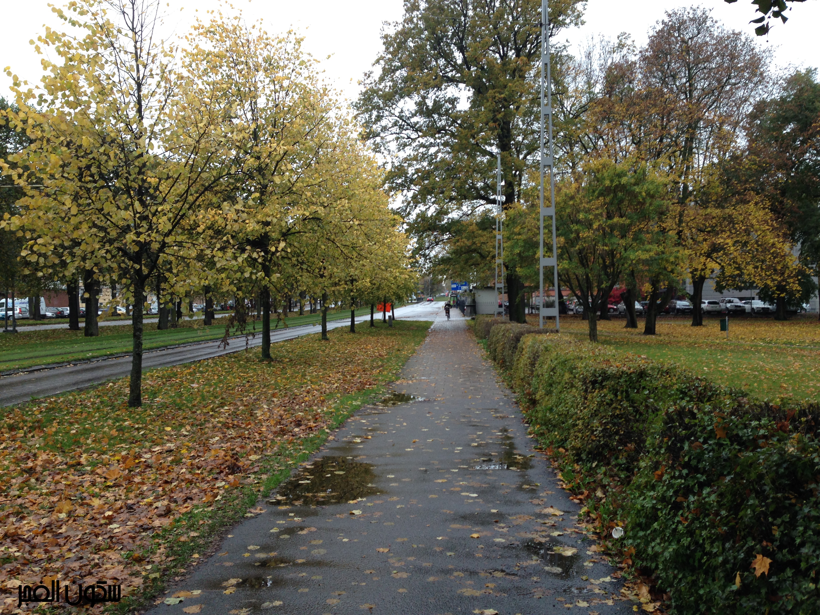 i_9e055c36f95.jpg