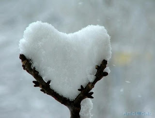 heart,romantic,snow,snowball,tree,cute-028d1dfbb5b75acab32197c651845881_h.jpg