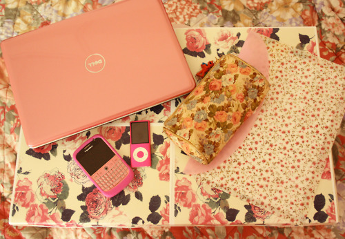 tumblr_lsmaglM8JU1qdl0pso1_500.jpg
