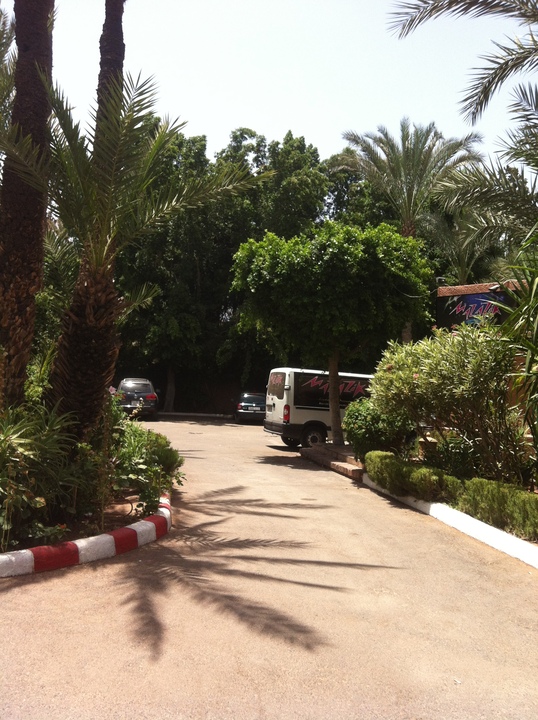 38776alsh3er.jpg