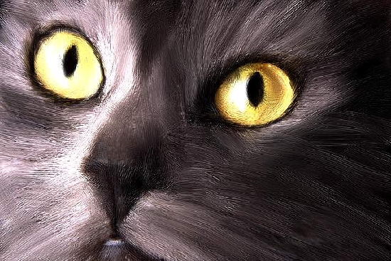 painting_cat_eye.jpg