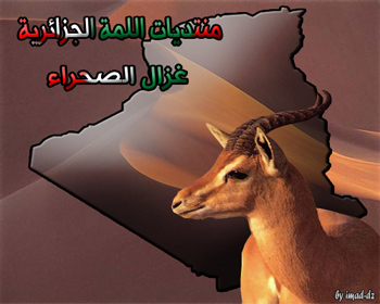 hichem11.jpg