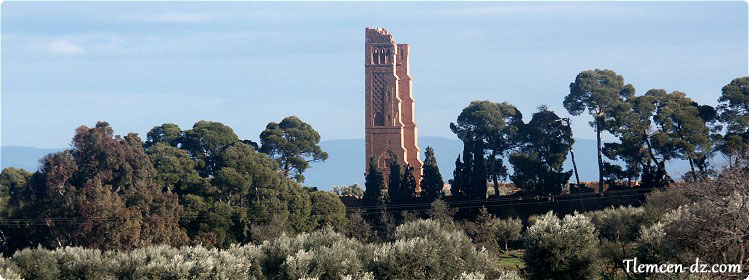 vue-mansourah-tlemcen.jpg