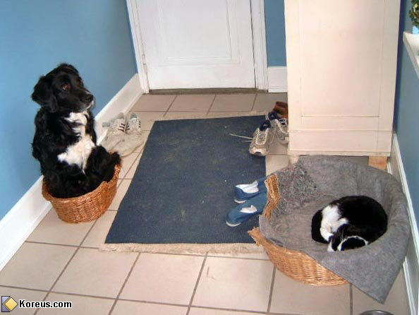 14image-insolite04.jpg