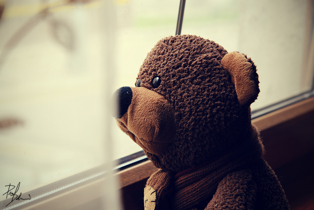 Alone_Teddy_by_hombre_cz.jpg