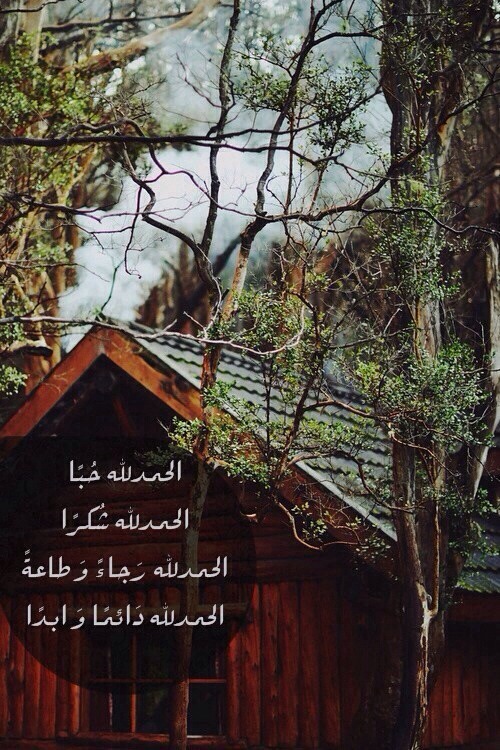 tumblr_n16v2nfsQH1su0unmo1_500.jpg