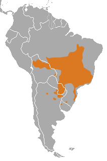 Maned_Wolf_area.png