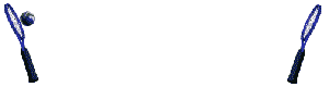 sport_tennis13.gif