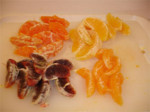 citrus3.jpg