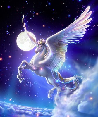 pegaso5.jpg