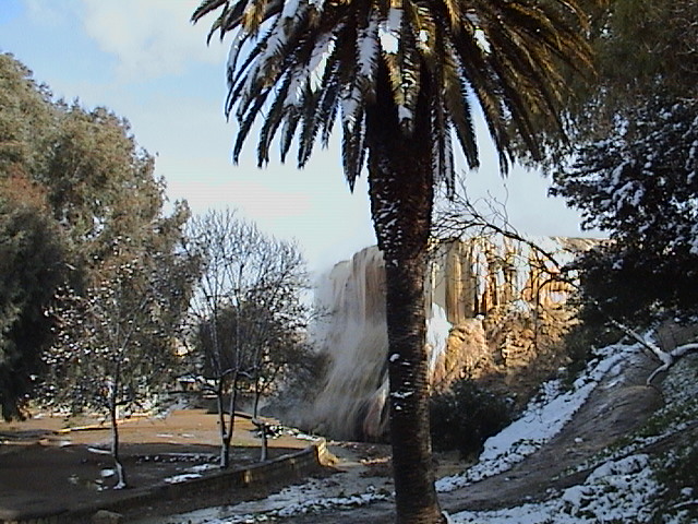 dsc00017.jpg