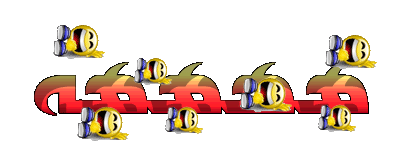 12057.imgcache