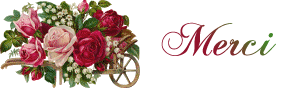 62312946.gif