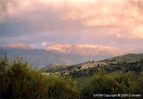 GM_Guelma_Maouna02.jpg