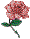 damn.gif