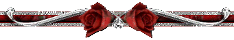 steelmeetsrosesdivider.gif