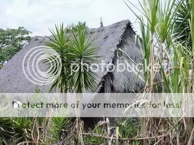 Weird-House13.jpg