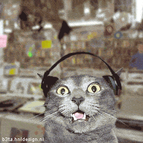 0703110632022192383361.gif