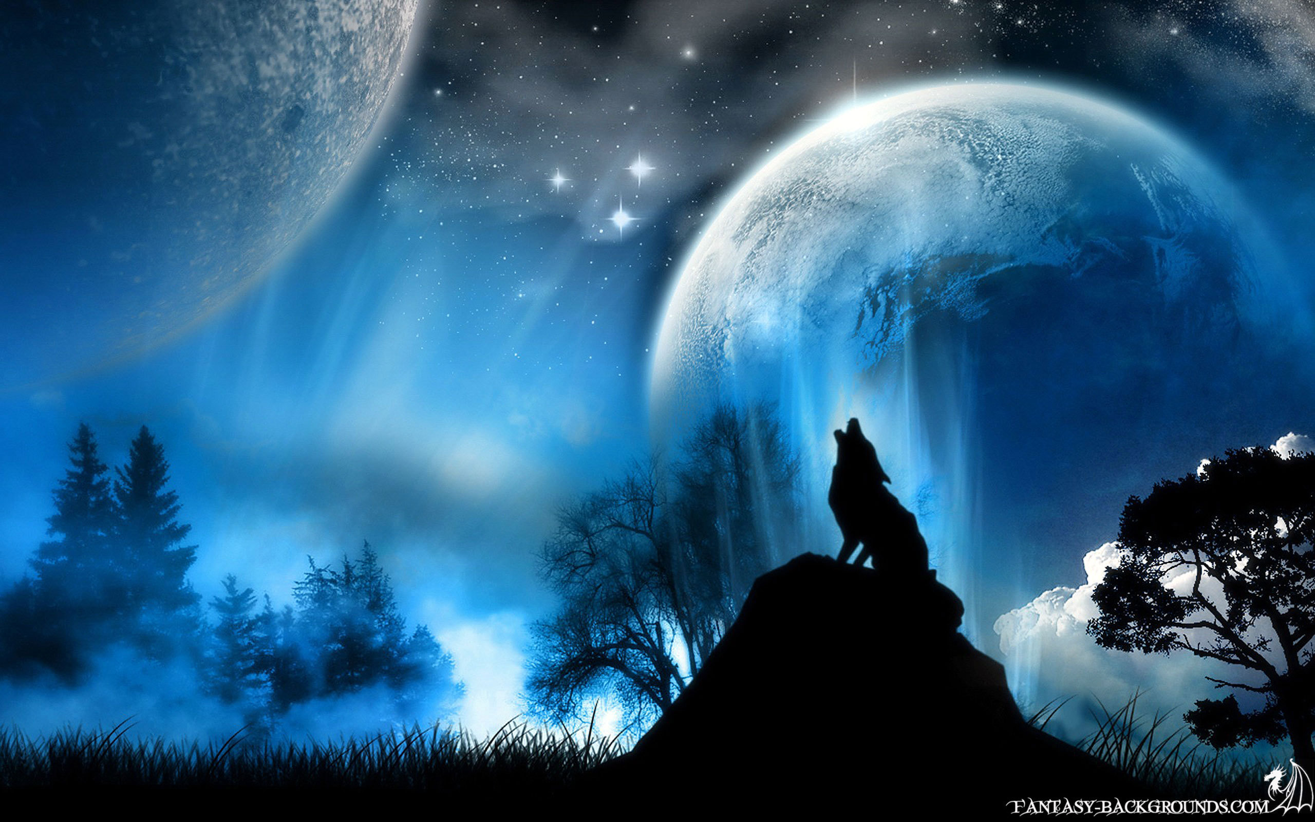 Beautiful-Wallpaper-random-14312356-2560-1600.jpg
